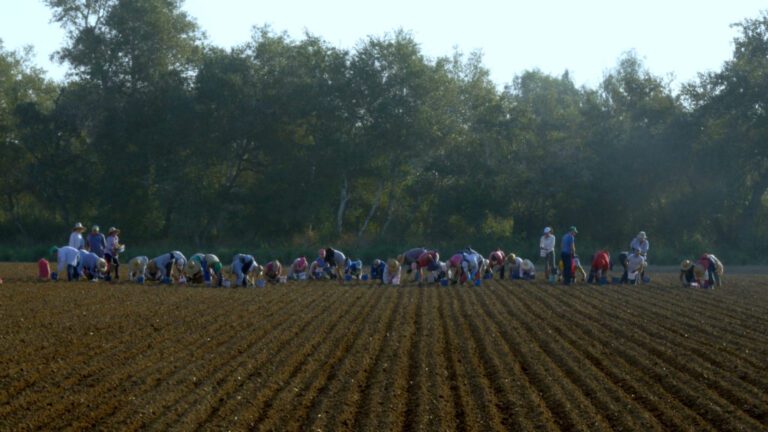 EL RASTRO FIRME 7 1 1024x576 1