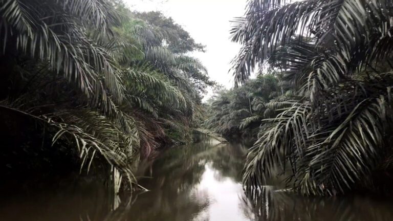 CarlaAndrade NoRiverProtectsMeFromMyself02 2 1250 (1)